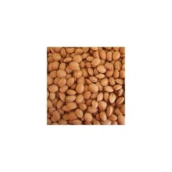 Almendro Marcona -Semillas De Plantas almendro marcona 2