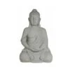 Buddha Sit -Semillas De Plantas buddah sit