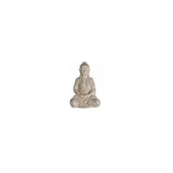 Buddha Shila -Semillas De Plantas buddha shila 1