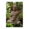 Buddha Shila -Semillas De Plantas buddha shila