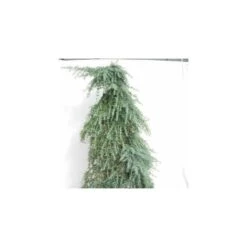 Cedro Atlantica Glauca Pendula