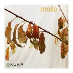 Cerezo Mallorquina -Semillas De Plantas cerezo mallorquina 1