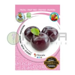 Ciruelo Angeleno Certificado M.P.S