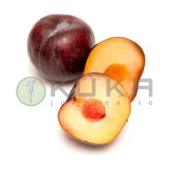 Ciruelo Red Beauty -Semillas De Plantas ciruelo red beauty 1