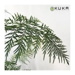 Grevillea Robusta EJEMPLAR 8 Grevillea Robusta EJEMPLAR -Semillas De Plantas grevillea robusta 6