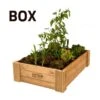 Huerto Urbano Box -Semillas De Plantas huerto urbano box