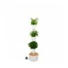 Jardin Vertical Citysens TERRA Xx Blanco -Semillas De Plantas jardin vertical citysens
