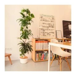 Jardin Vertical Citysens TERRA Xx Blanco -Semillas De Plantas jardin vertical citysens 4