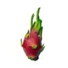 Pitahaya JC02 -Semillas De Plantas pitahaya jc01