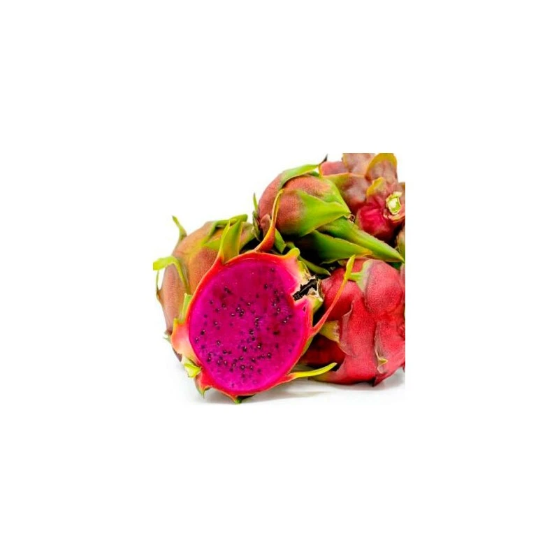 Pitahaya Tesoro 4 Pitahaya Tesoro - Imagen 2