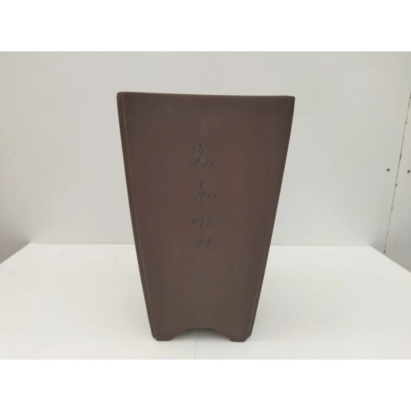 Tiesto Bonsai En Cascada Modelo GINZA 3 Tiesto Bonsai En Cascada Modelo GINZA