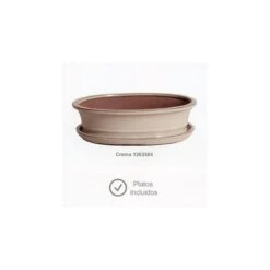 Tiesto Merak Con Plato Verde -Semillas De Plantas tiesto merak con plato 1